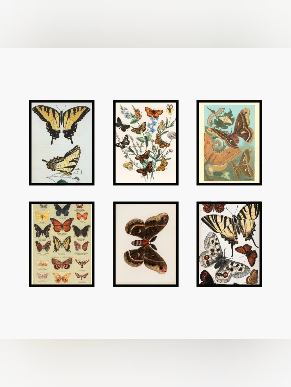 Vintage Butterfly Wall Art Prints Set - Yellow, Brown, Cream 8.5.11